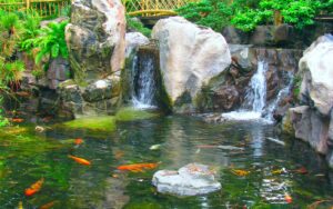Koi Pond Constr...