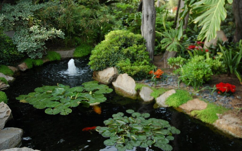 Koi Pond Plants: What Works Without Sacrificing Water Quality