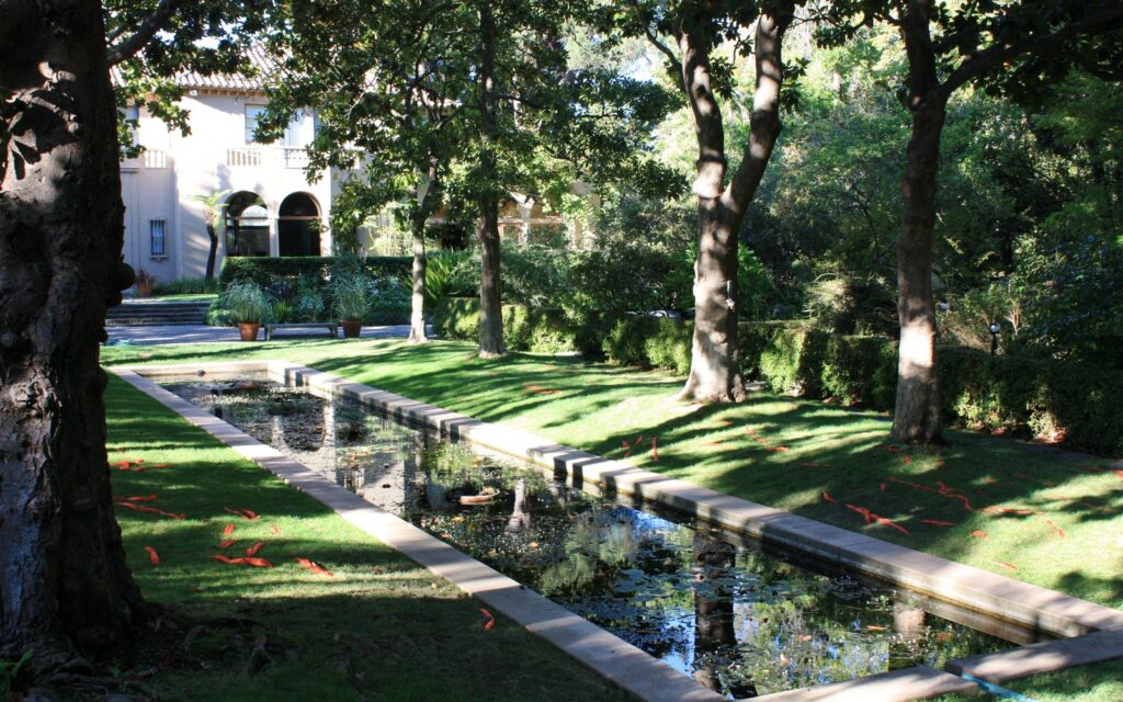 Koi Pond Equipment Checklist for a Reliable Year-Round System